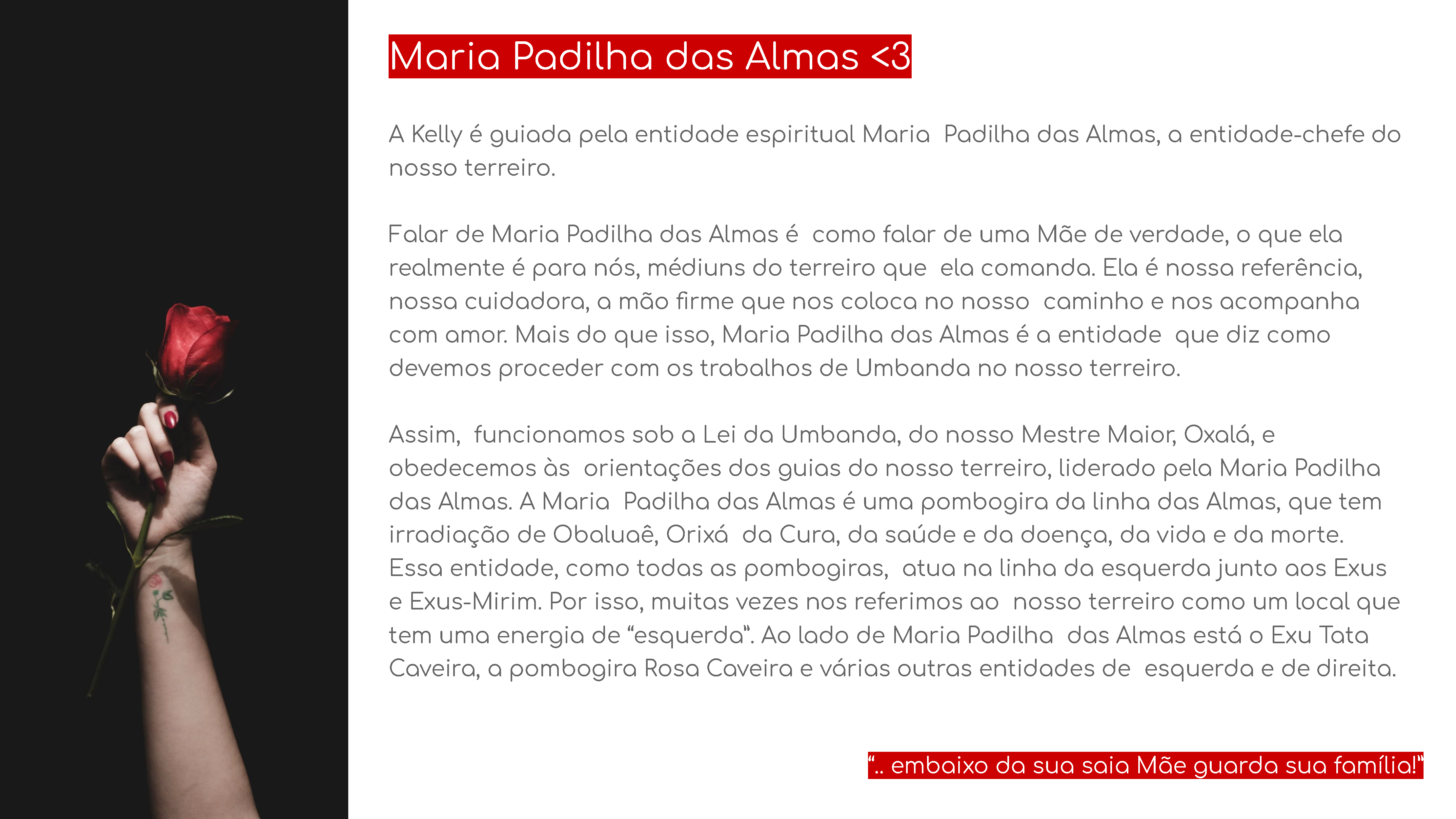 manual-idf_Página_04