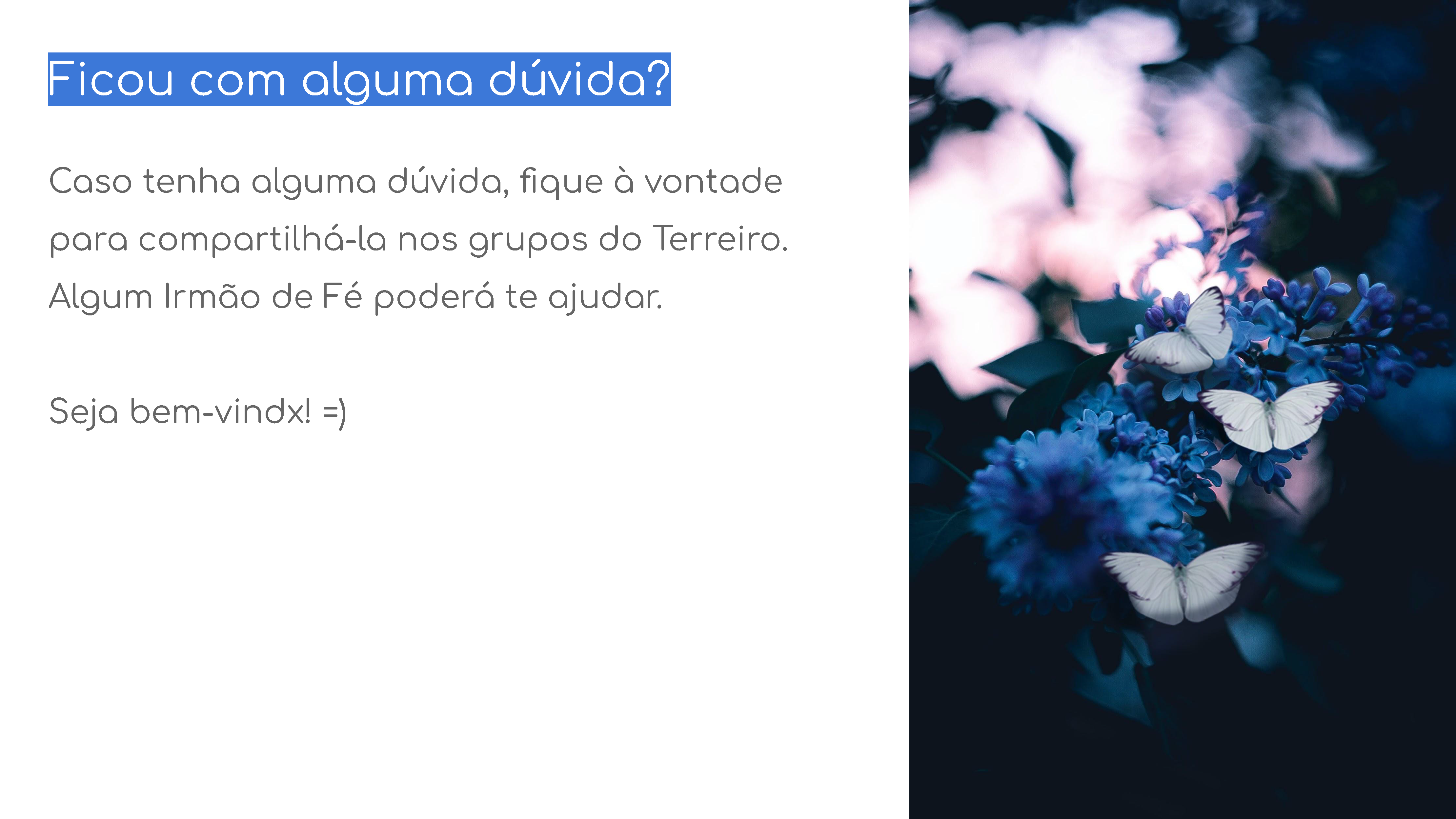 manual-idf_Página_21